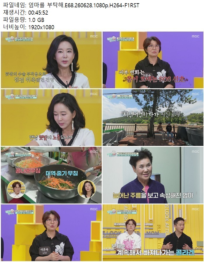엄마를 부탁해.E68.260628.1080p.H264