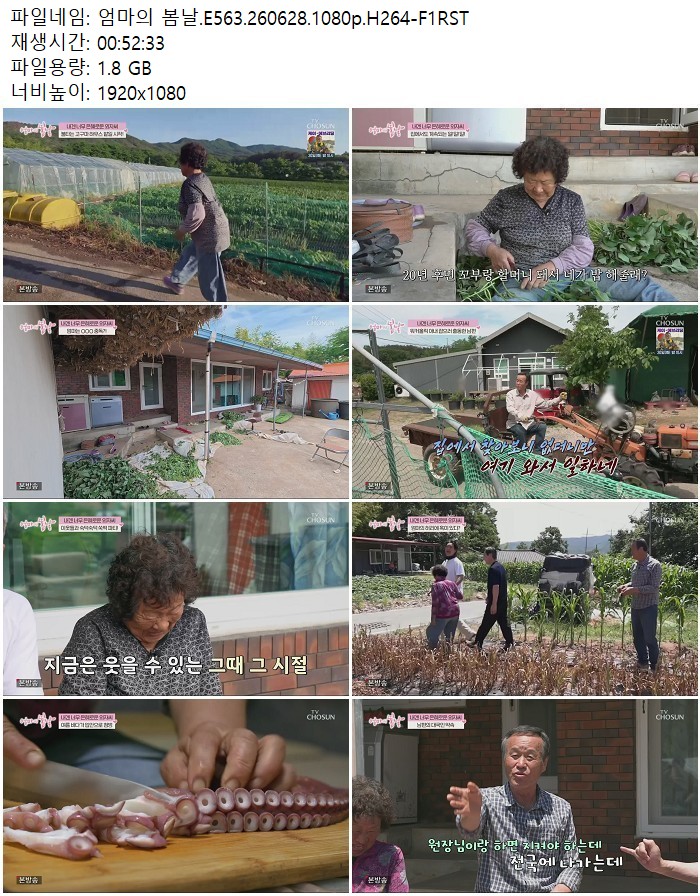엄마의 봄날.E563.260628.1080p.H264