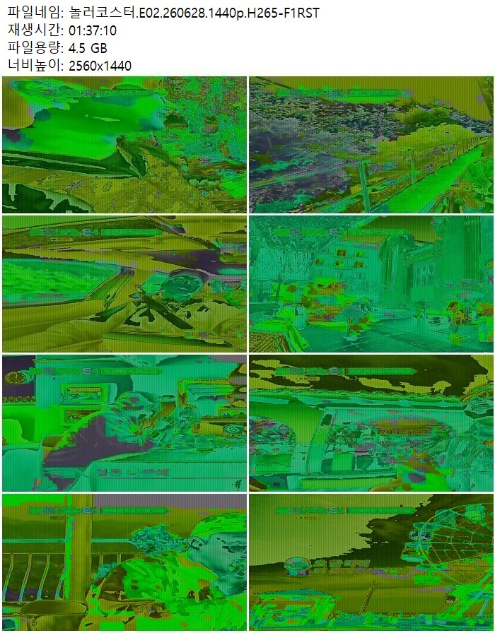 놀러코스터.E02.260628.1440p.H265