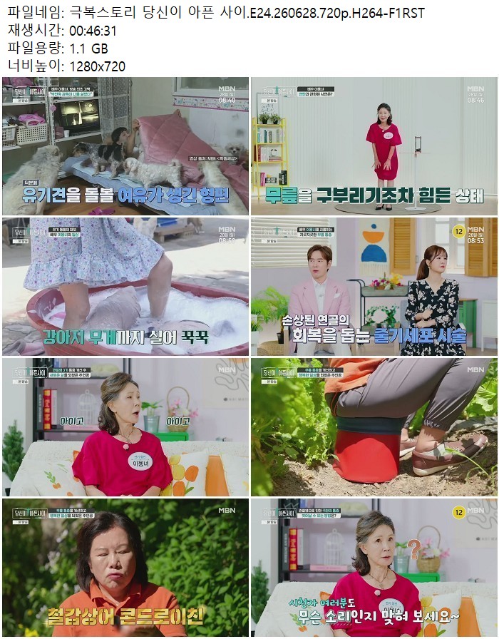 극복스토리 당신이 아픈 사이.E24.260628.720p.H264