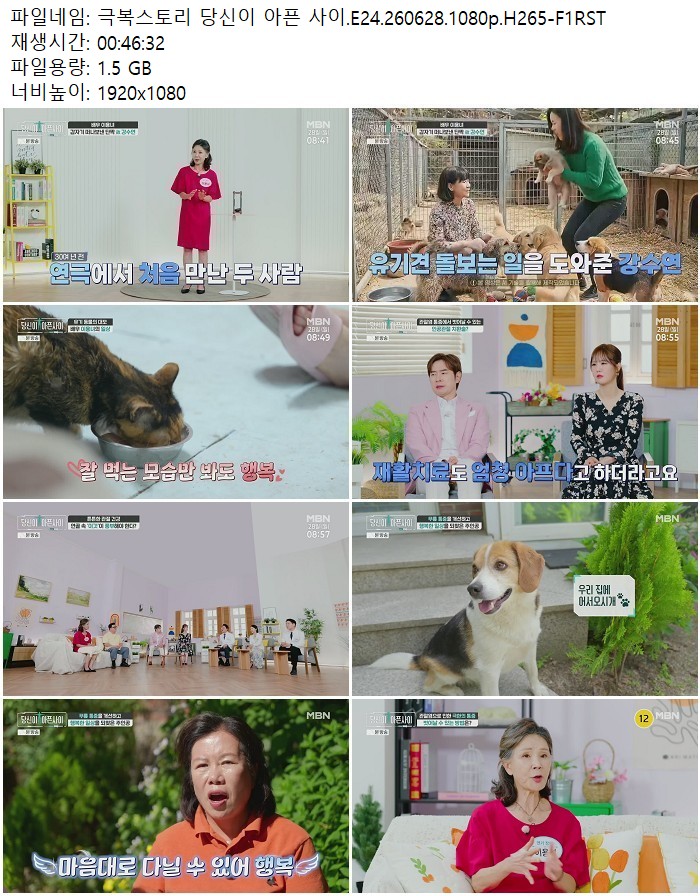 극복스토리 당신이 아픈 사이.E24.260628.1080p.H265