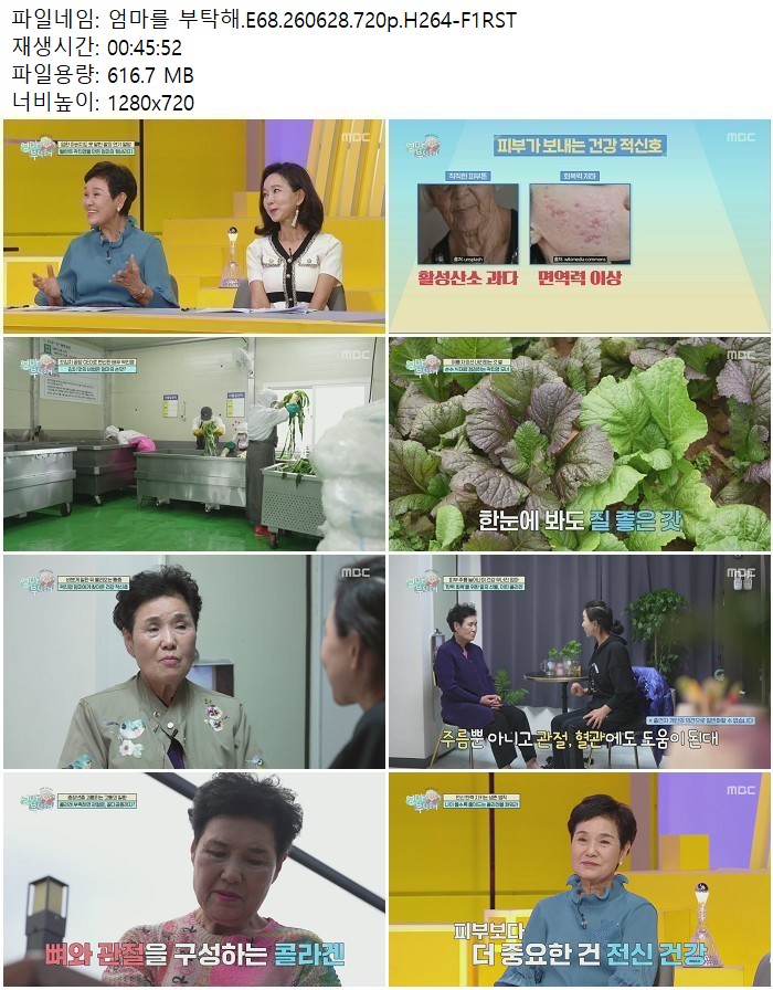 엄마를 부탁해.E68.260628.720p.H264