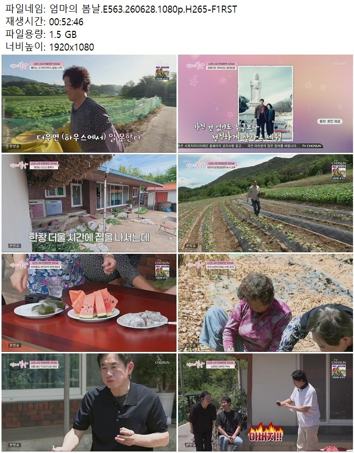 엄마의 봄날.E563.260628.1080p.H265