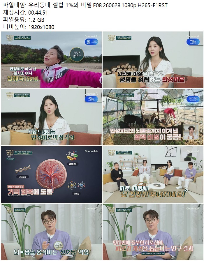 우리동네 셀럽 1%의 비밀.E08.260628.1080p.H265