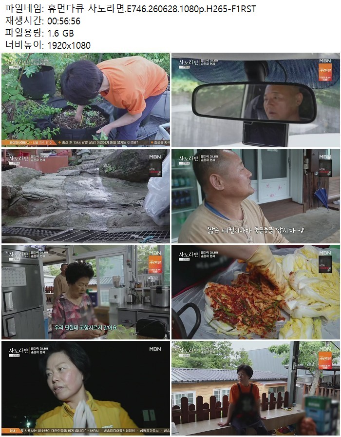 휴먼다큐 사노라면.E746.260628.1080p.H265