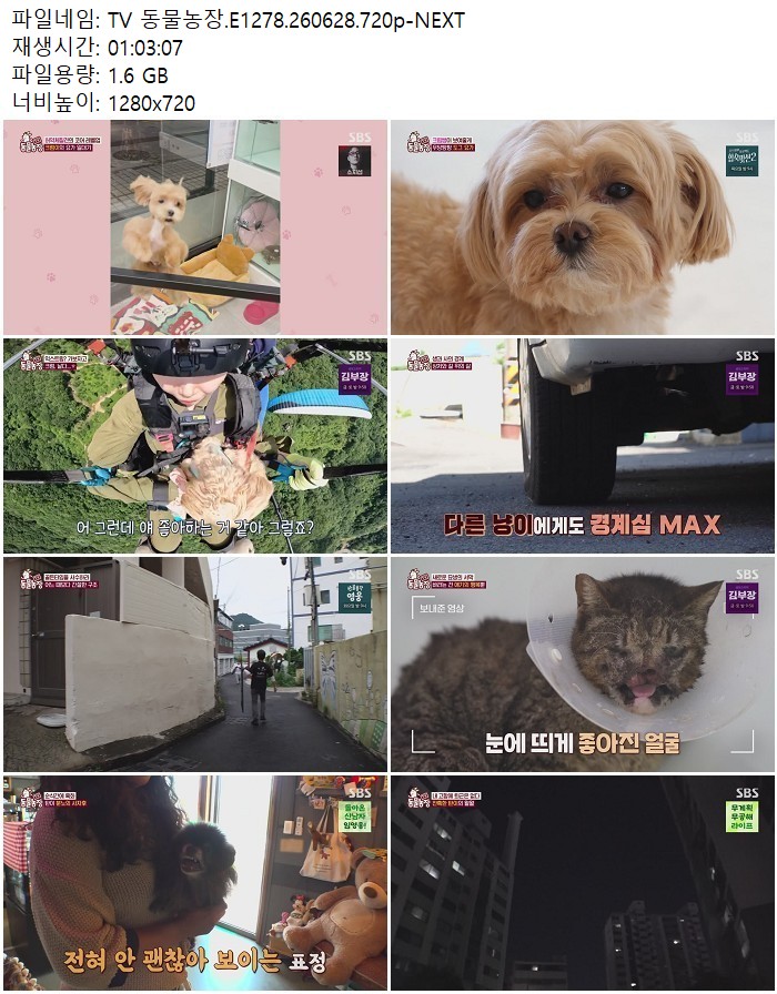 TV 동물농장.E1278.260628.720p-NEXT