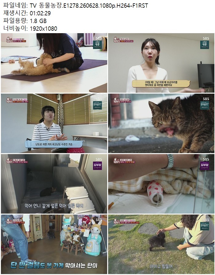 TV 동물농장.E1278.260628.1080p.H264