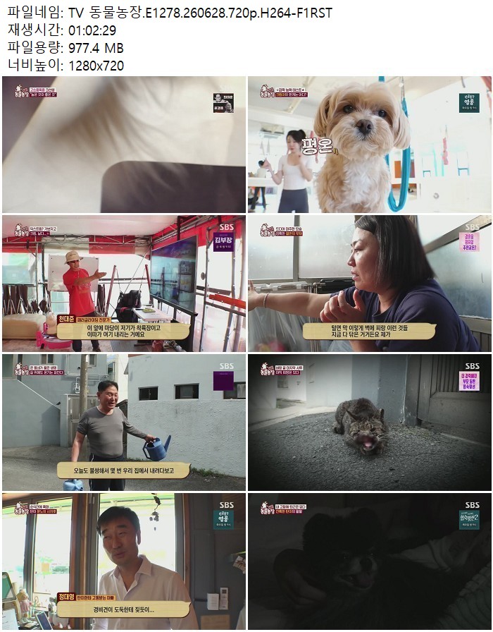 TV 동물농장.E1278.260628.720p.H264