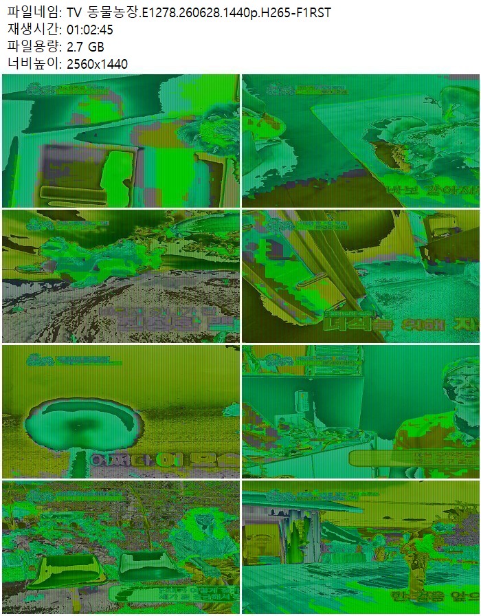 TV 동물농장.E1278.260628.1440p.H265