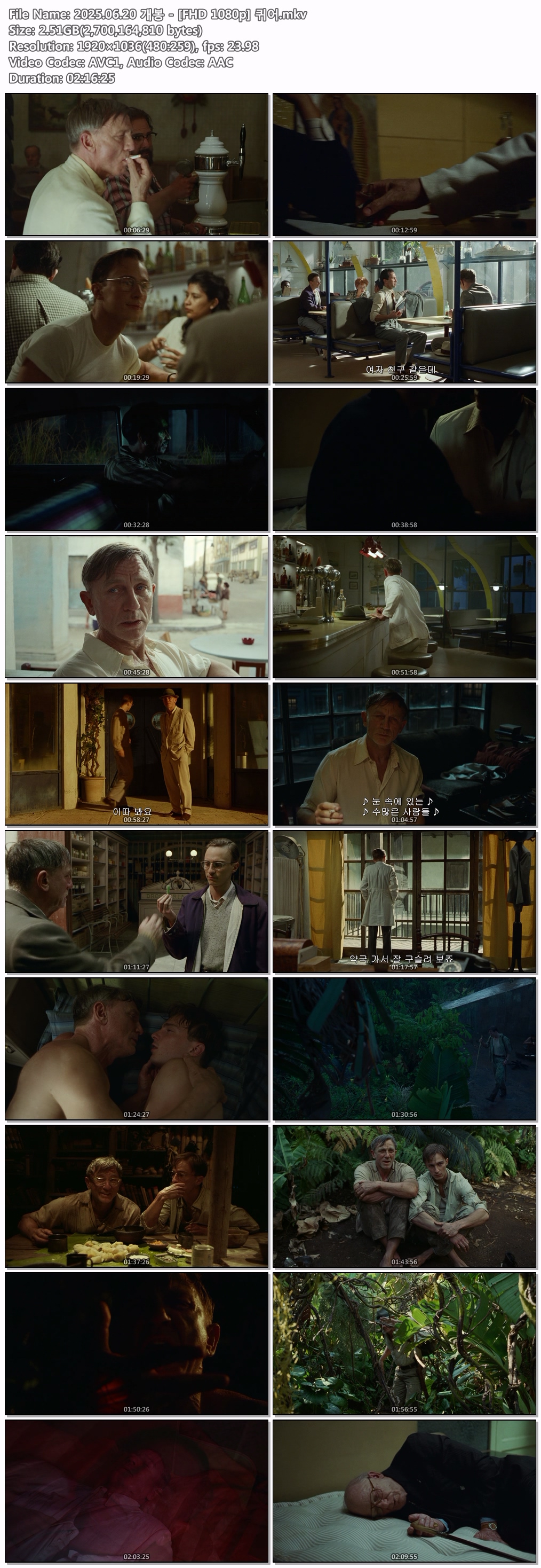 2025.06.20 개봉 - [FHD 1080p] 퀴어