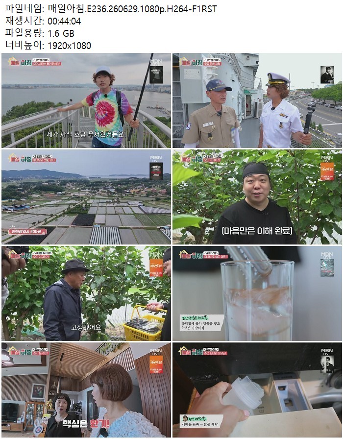 매일아침.E236.260629.1080p.H264