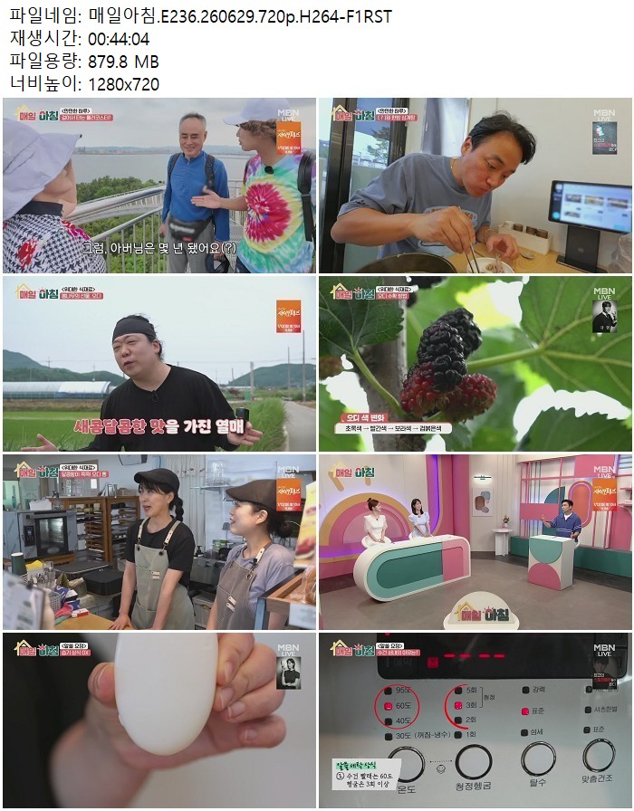 매일아침.E236.260629.720p.H264