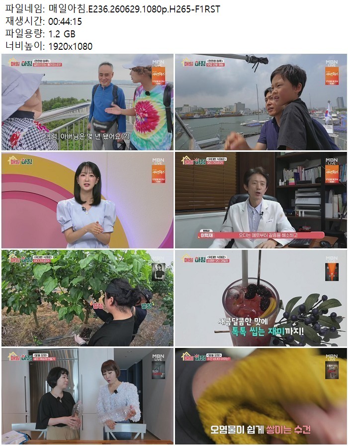 매일아침.E236.260629.1080p.H265