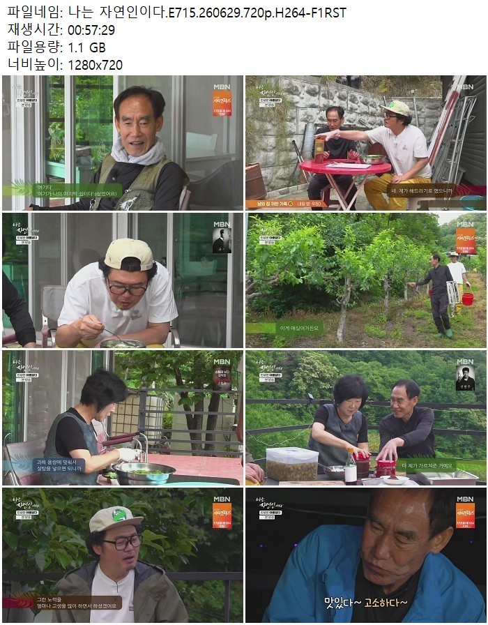 나는 자연인이다.E715.260629.720p.H264