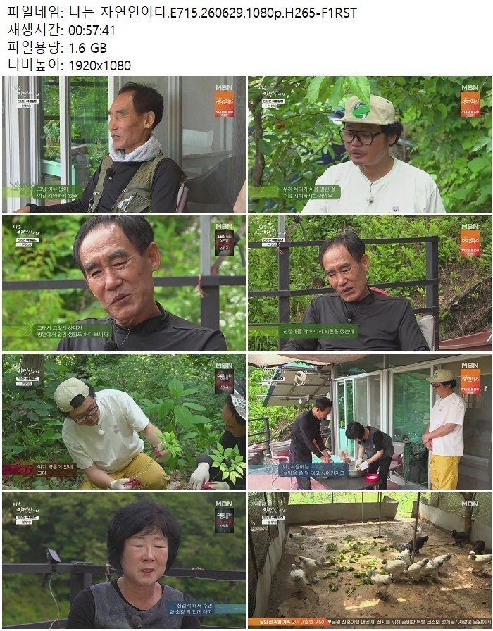 나는 자연인이다.E715.260629.1080p.H265