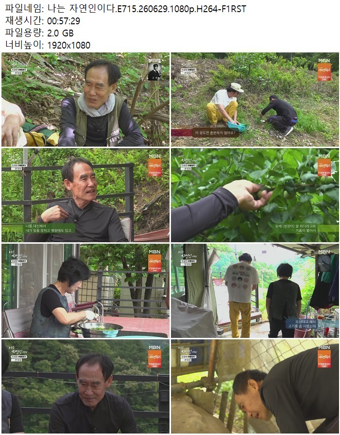 나는 자연인이다.E715.260629.1080p.H264