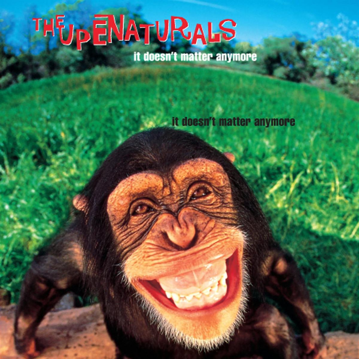 The Supernaturals [1997 It Doesn't Matter Anymore] (FLAC)