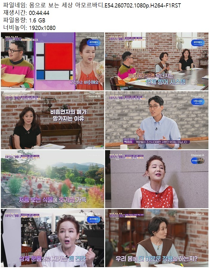 몸으로 보는 세상 아모르바디.E54.260702.1080p.H264