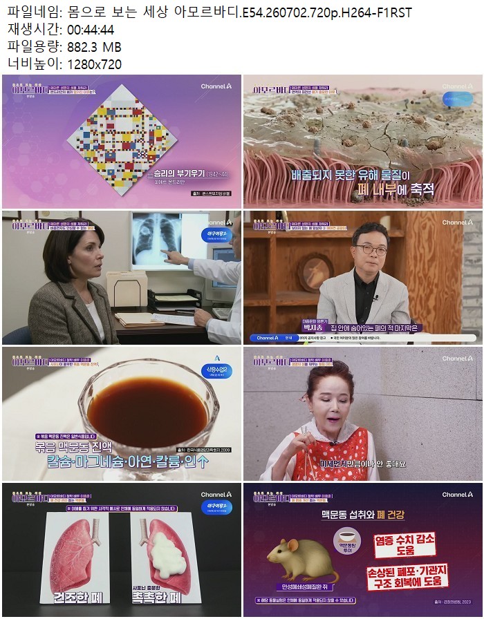 몸으로 보는 세상 아모르바디.E54.260702.720p.H264