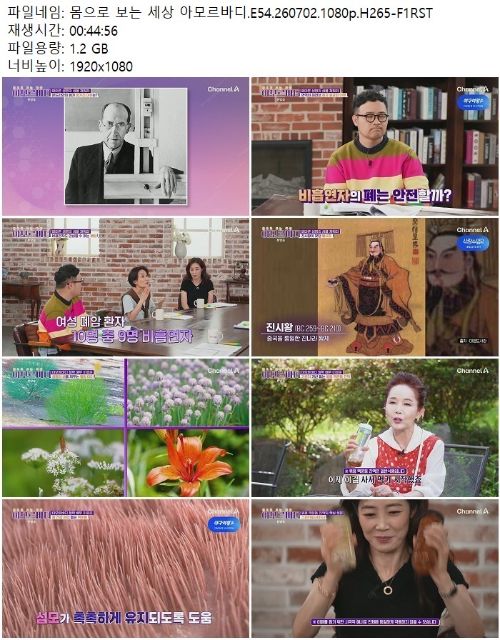 몸으로 보는 세상 아모르바디.E54.260702.1080p.H265