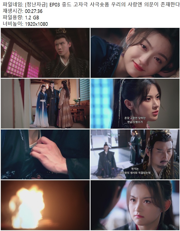 [정난자금] EP03 중드 고자극 사극숏폼 우리의 사랑엔 의문이 존재..