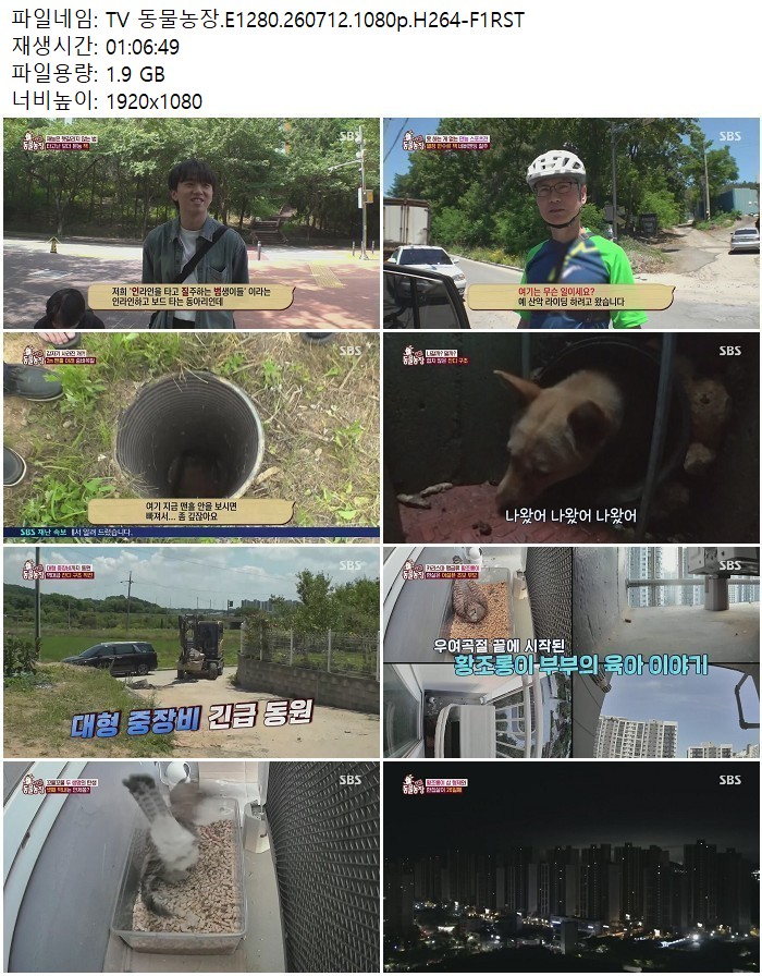 TV 동물농장.E1280.260712.1080p.H264