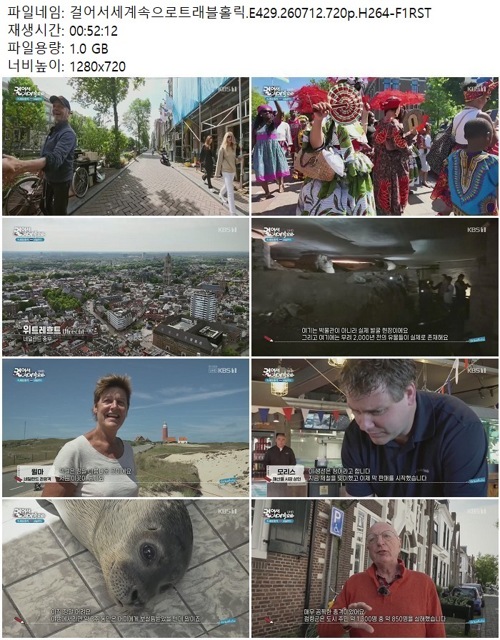 걸어서세계속으로트래블홀릭.E429.260712.720p.H264