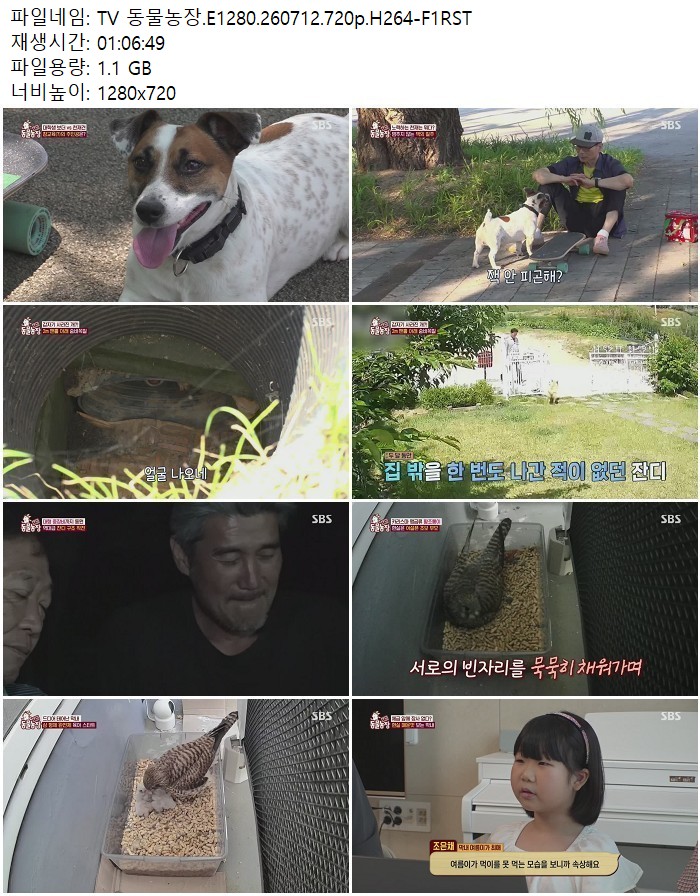 TV 동물농장.E1280.260712.720p.H264