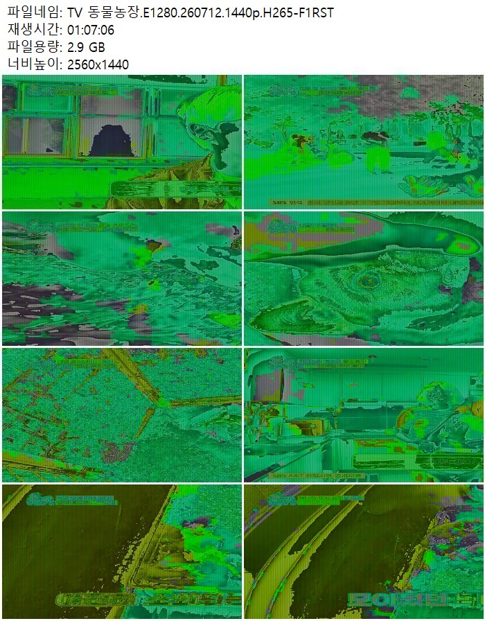TV 동물농장.E1280.260712.1440p.H265