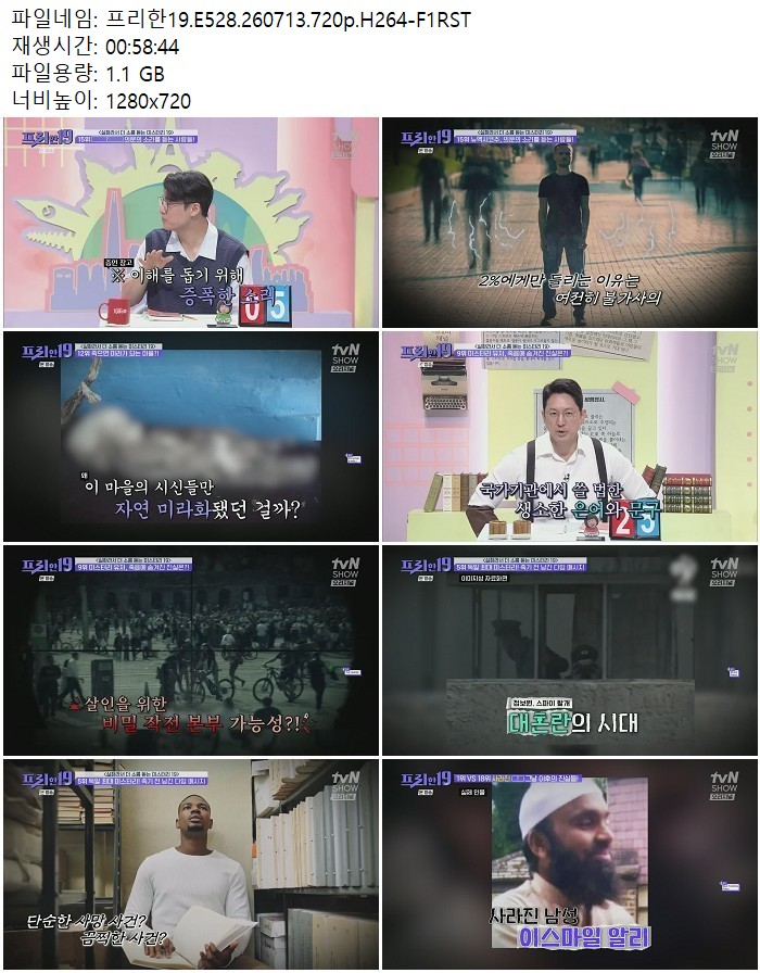 프리한19.E528.260713.720p.H264