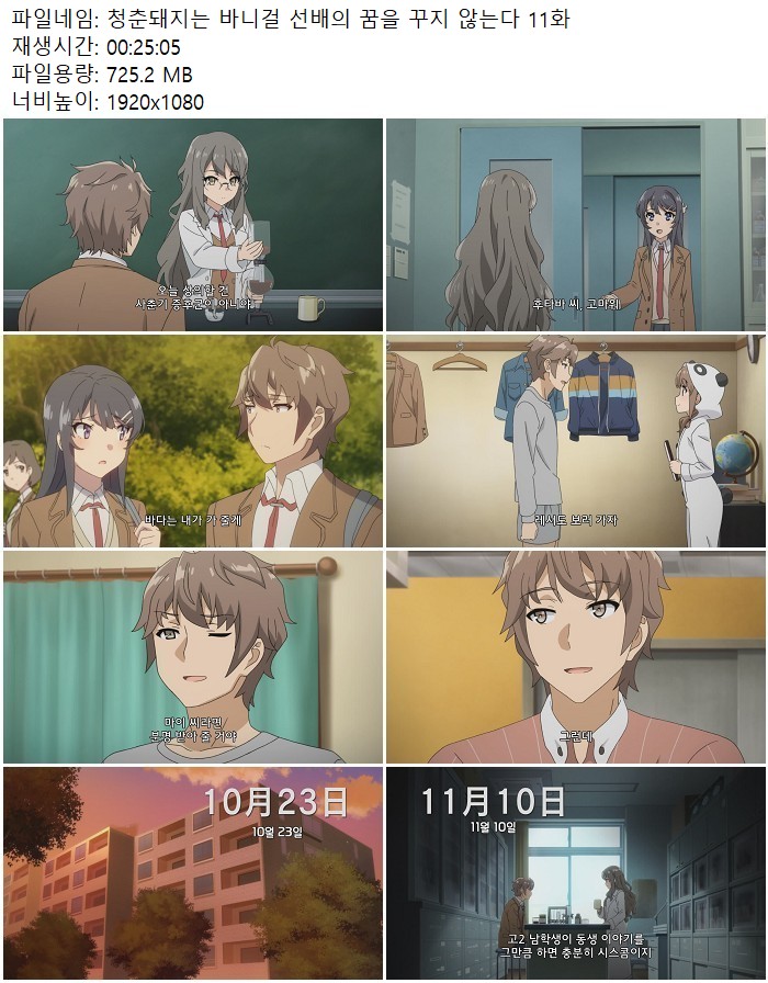 청춘돼지는 바니걸 선배의 꿈을 꾸지 않는다 11화