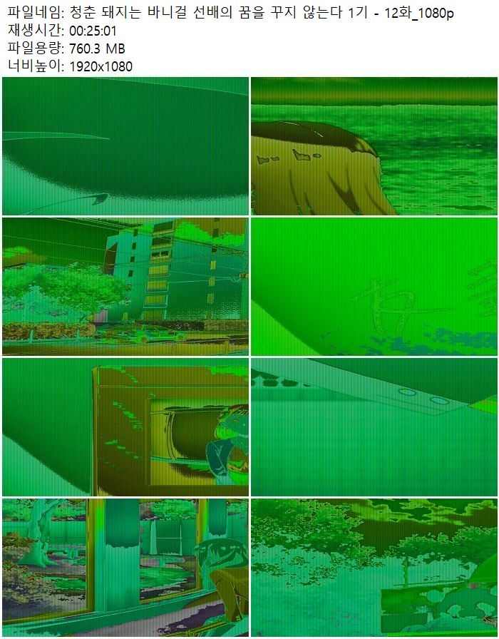 청춘 돼지는 바니걸 선배의 꿈을 꾸지 않는다 1기 - 12화_1080p