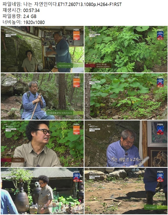 나는 자연인이다.E717.260713.1080p.H264