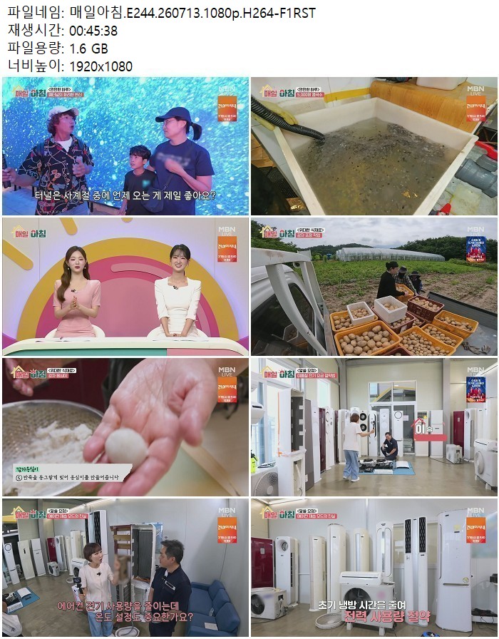 매일아침.E244.260713.1080p.H264