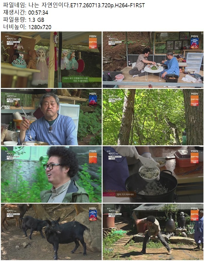 나는 자연인이다.E717.260713.720p.H264