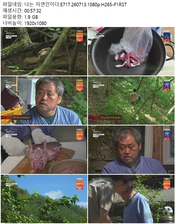 나는 자연인이다.E717.260713.1080p.H265