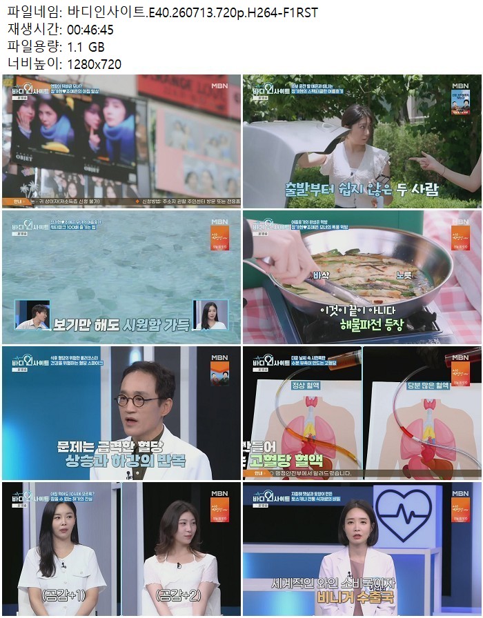 바디인사이트.E40.260713.720p.H264