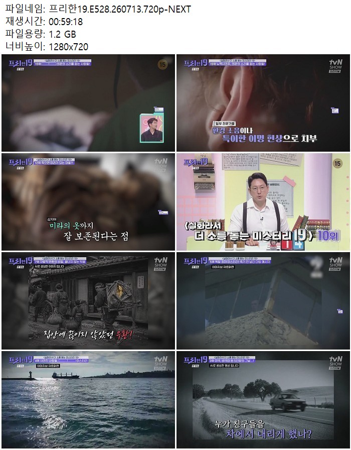 프리한19.E528.260713.720p-NEXT