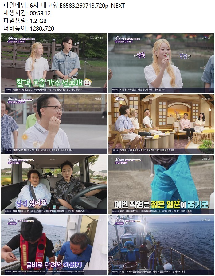 6시 내고향.E8583.260713.720p-NEXT