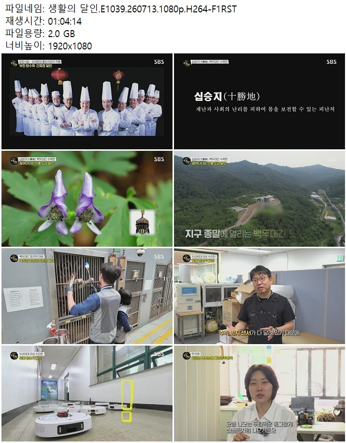 생활의 달인.E1039.260713.1080p.H264