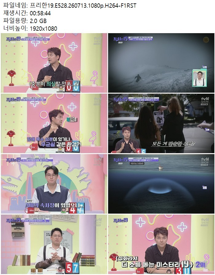 프리한19.E528.260713.1080p.H264