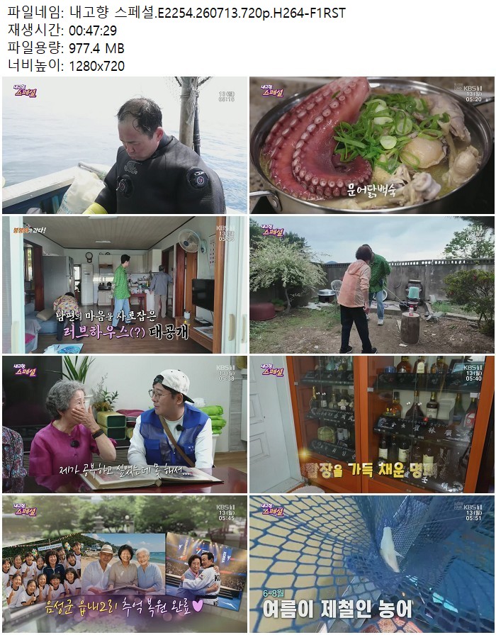 내고향 스페셜.E2254.260713.720p.H264
