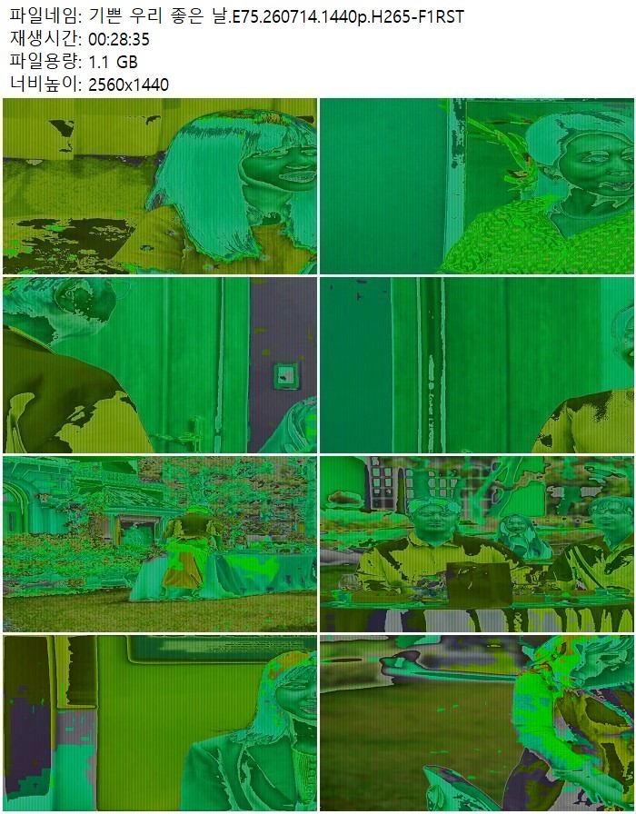 기쁜 우리 좋은 날.E75.260714.1440p.H265