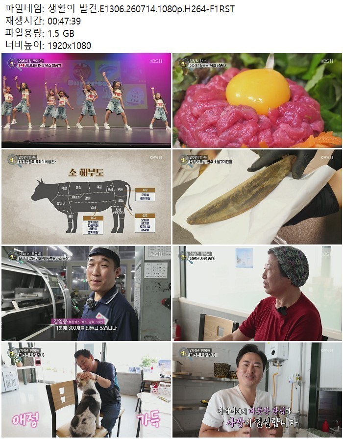 생활의 발견.E1306.260714.1080p.H264