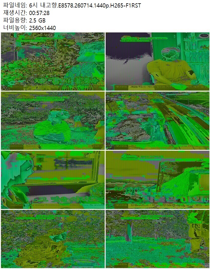 6시 내고향.E8578.260714.1440p.H265