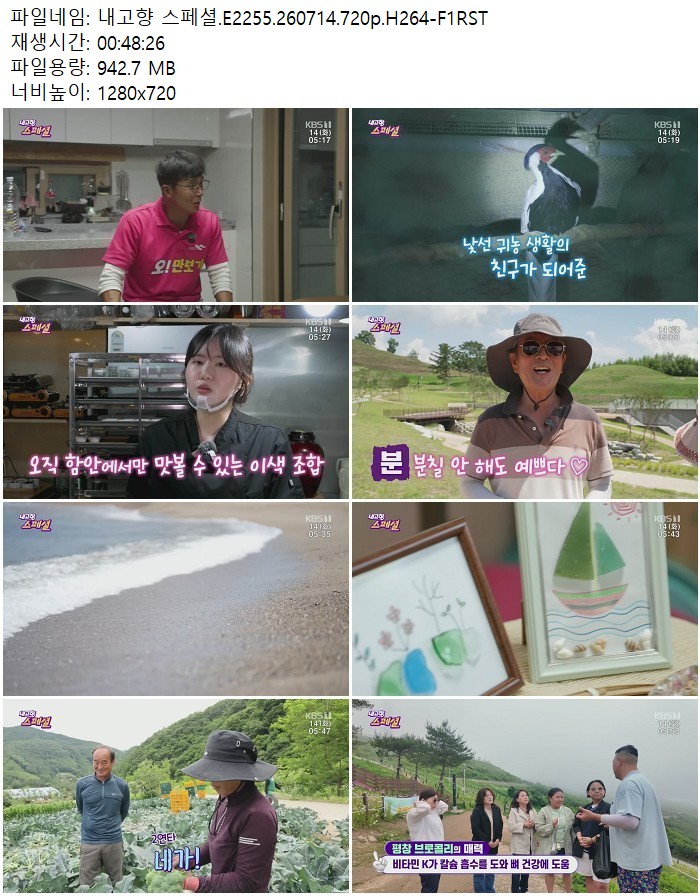 내고향 스페셜.E2255.260714.720p.H264