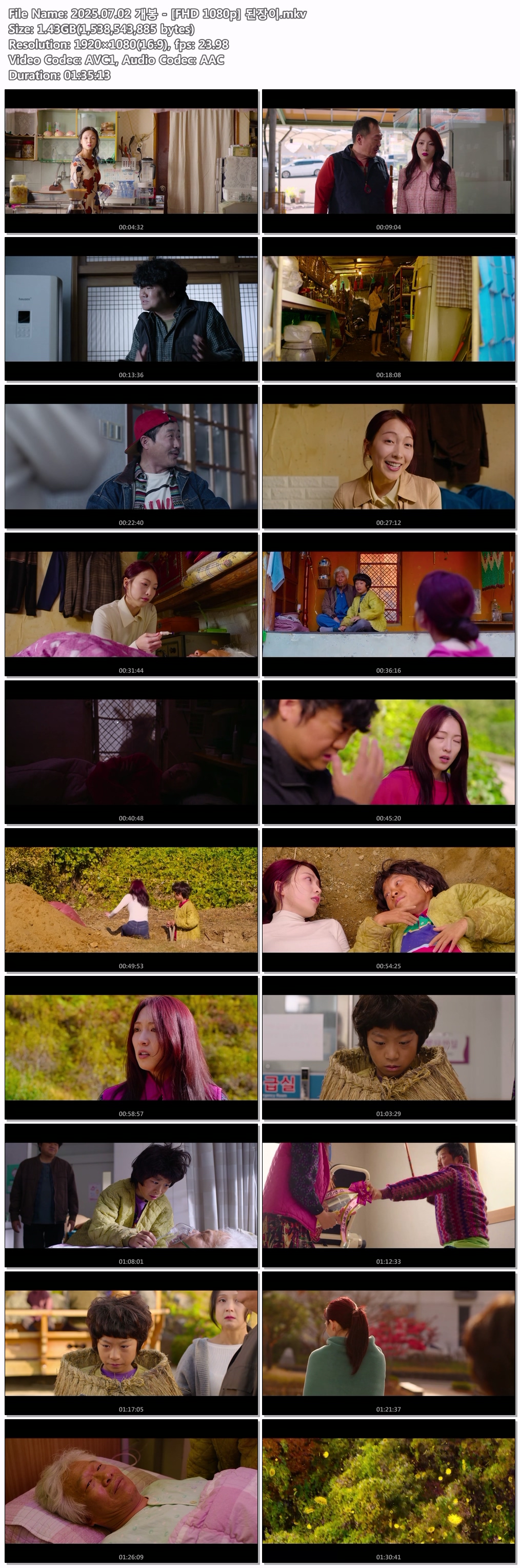 2025.07.02 개봉 - [FHD 1080p] 된장이