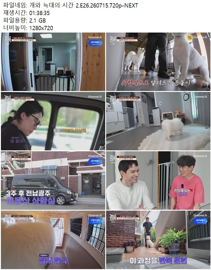 개와 늑대의 시간 2.E26.260715.720p-NEXT