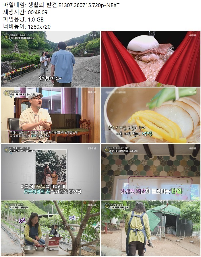 생활의 발견.E1307.260715.720p-NEXT