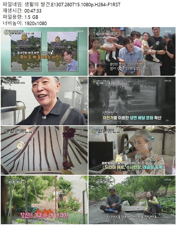 생활의 발견.E1307.260715.1080p.H264